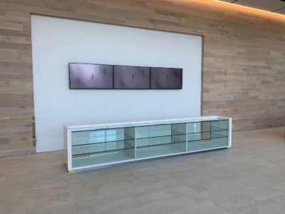 bonded glass display case paramus